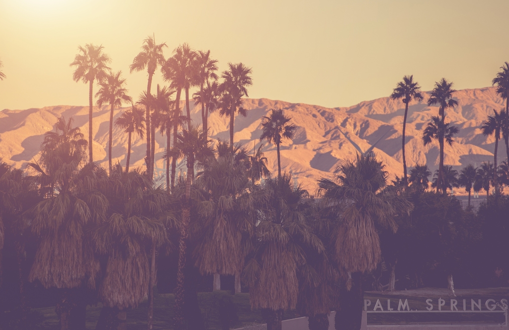 Palm Springs, CA Best Places to Visit in California